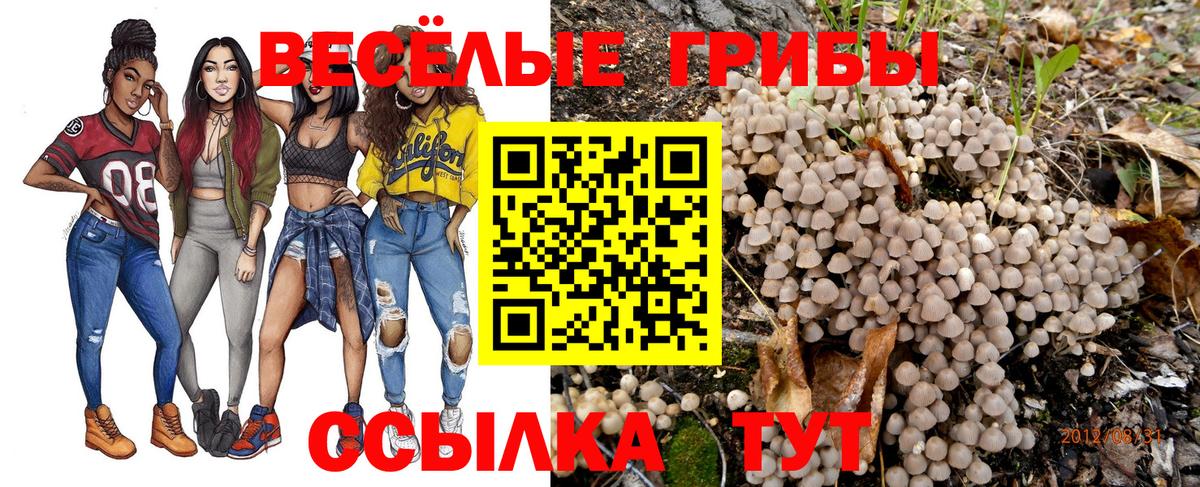 Галлюциногенные грибы Psilocybe  Вход с VPN  Беслан 